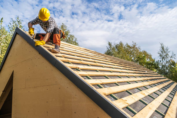 Best Metal Roofing Contractor  in Mount Vernon, IA