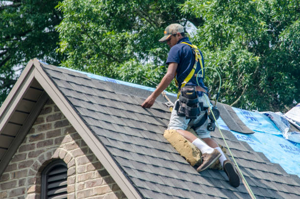 Best Storm Damage Roof Repair  in Mount Vernon, IA